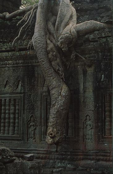 a picture called c angkor4 should be here...